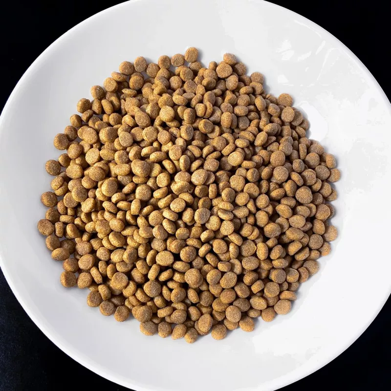 VET RESPONSE Kaal balance - kuiv kassitoit - 1,6kg