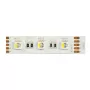 Synergy 21 LED Flex Strip 5050 - 60 RGB DC24V + RGB-W ühe kiibiga nw IP20
