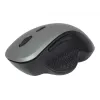 Optiline hiir Gembird MUSW-6B-02-BG USB
