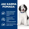 HILL'S PRESCRIPTION DIET Canine c/d Multicare kuiv koeratoit kana 12 kg