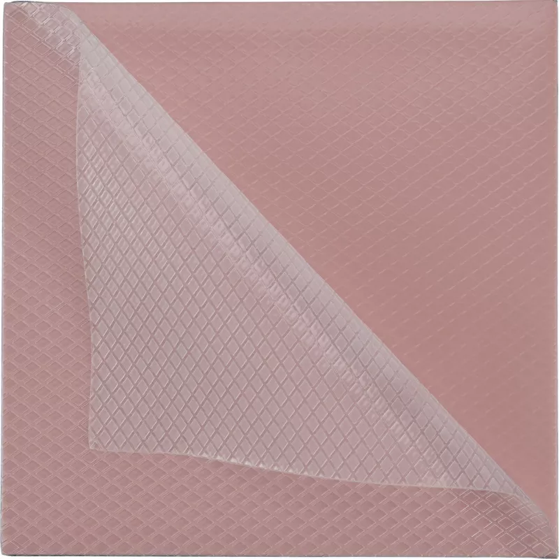 Thermal Grizzly Minus Pad 8 - 100 x 100 x 0,5 mm, 2 tk