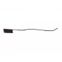 Tolmuimeja lisatarvik | ROBOROCK | WiFi-antenn | Mudelitele S8/S8+/S8 Pro Ultra/S8 MaxV Ultra/S0 Max Ultra | 9.01.1880