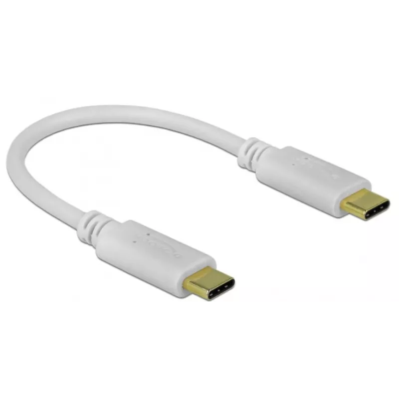 Delock - USB-C / toitekaabel - 24-kontaktiline USB-C (M) kuni 24-kontaktiline USB-C (M) - 5 A - 15cm - USB-toiteallikas (100 W), toetab Power Delivery 2,0 - Valge (85357)