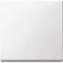 Merten 434119 valgusti lüliti valge, termoplast (434119)