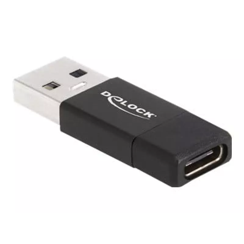 DeLOCK 60001 kaabli soomuundur USB A USB C must