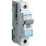 Kaitselüliti Hager NBN106 1P, 6 A, 50–60 Hz, 17,5 mm lai