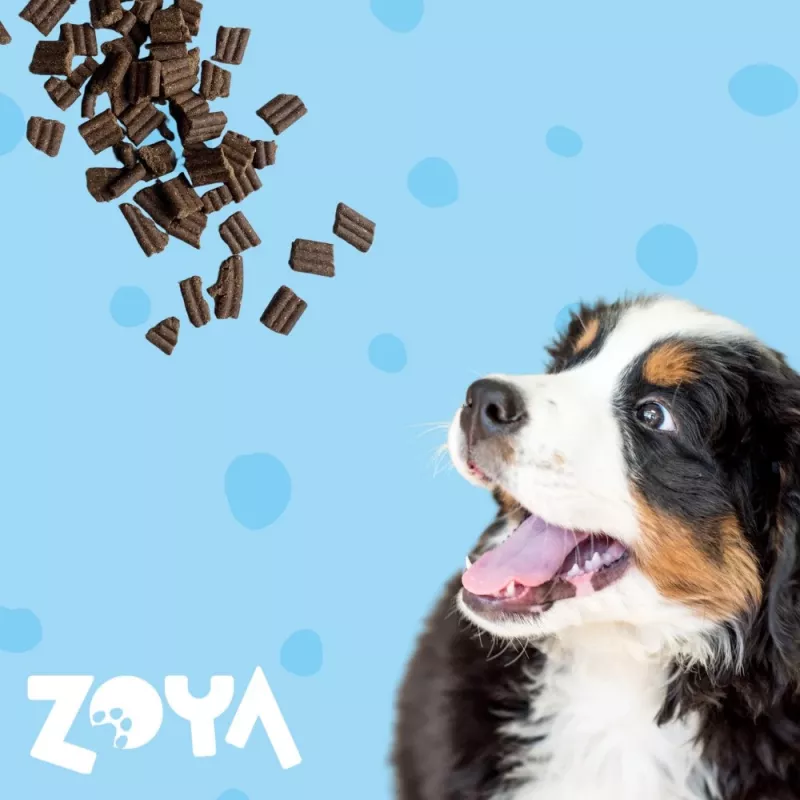 Kuiv koeratoit ZOYA ColdPRO Duck 9 kg — täiskasvanud koertele hoolduseks, ühe valguallikaga, 26% valku, 10% rasva