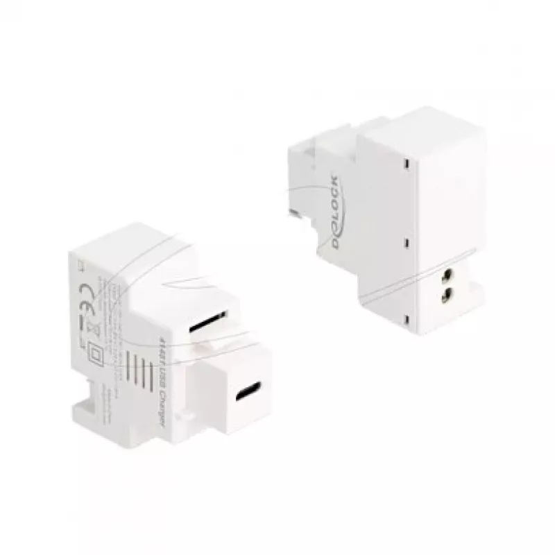 DELOCK Keystone-moodul USB-C PD 20W laadimispesaga, valge