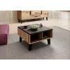 Cama LOTTA 60 Kohvilaud wotani tamm/mat must
