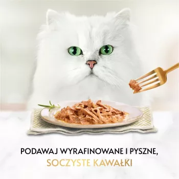 PURINA Gourmet Gold Succulent Delights ookeani kala – märg kassitoit – 85g