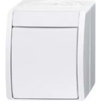 Busch Jaeger Lüliti Väljas 2601/2 W-54 (2CKA001085A1627)