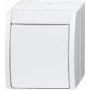 Busch Jaeger Lüliti Väljas 2601/2 W-54 (2CKA001085A1627)