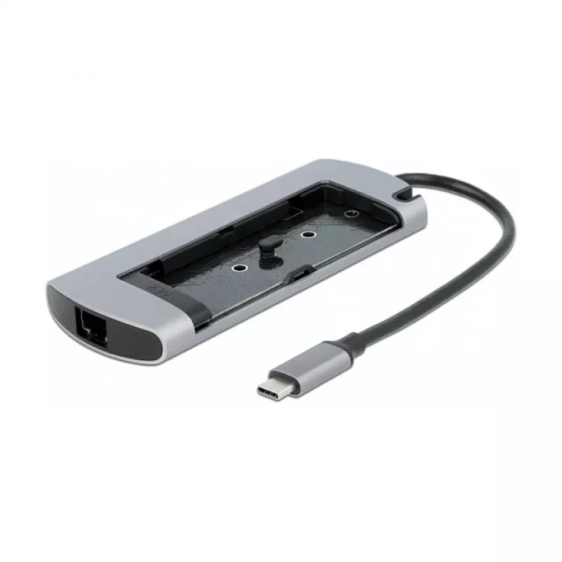 Dokkimisjaam DeLOCK USB-C dokkimisjaam M.2 pesaga