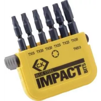 C.K. Bit-Set 6-piece TORX Torsion Control Technologie (T4513)