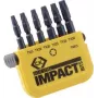 C.K. Bit-Set 6-piece TORX Torsion Control Technologie (T4513)
