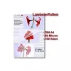 Lamineerimiskile Olympia 1x100 DIN A4 80 mikronit