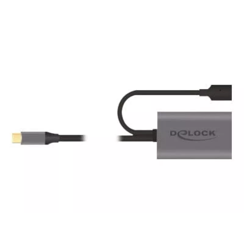 Delock USB-20225 toiteadapter hall