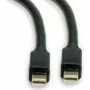 Roline DisplayPort-ühenduskaabel 1,00 m 11.04.5817 Varjestatud Must [1x Mini-DisplayPort-pistik - 1x Mini-DisplayPort-pistik] (11.04.5817)