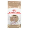 Kuiv kassitoit Royal Canin Sphynx Adult 2 kg — sealiha maitse, 33% valku, 23% rasva