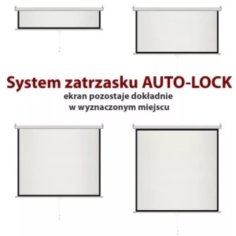Manuaalne ekraan 4:3 poolautomaatne 120 244x183cm MS-120 4:3
