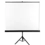 Avtek Tripod Standart 175 projektsiooniekraan 1:1