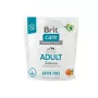 Kuiv koeratoit Brit BRIT Care teraviljavaba Adult Small & Medium Salmon 1 kg — valk 26%, rasv 15%