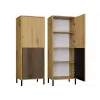 KAMARO 2DK õhuke/GŁ tamm ARTISAN DISPLAY CABINET