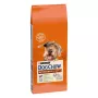 Kuiv koeratoit Purina Nestlé Dog Chow Mature Senior lambalihaga 14 kg, 24% valku, 10% rasva