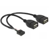 Sisemine USB-kaabel DeLOCK 83292 0,2 m emane-emanele