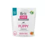 Kuiv koeratoit Brit Puppy Salmon 1 kg — teraviljavaba kutsikavalem, 30% valku, 18% rasva