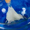 Teaduskomplekt Liscianigiochi Crazy Science Slime in the dark 304-PL89239 — pimedas helendava lima katsekomplekt