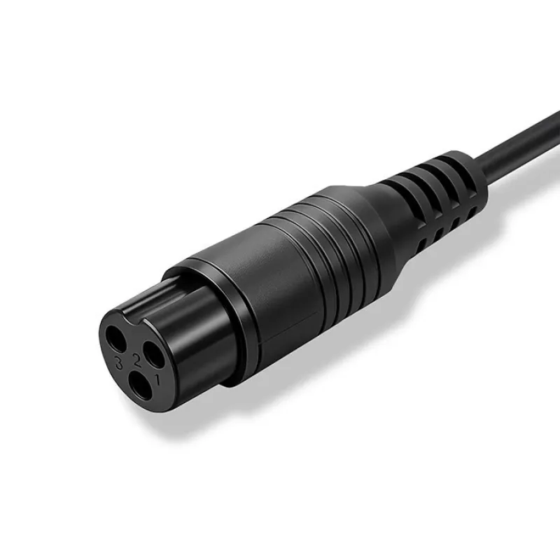 Akulaadija QOLTEC laadija e-rattale 36V 42V 2A 3P GX16