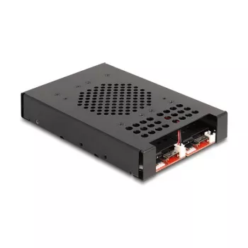SSD korpus DeLOCK 47117 3.5-tolline mobiilraam kahele M.2 NVMe SSD-le
