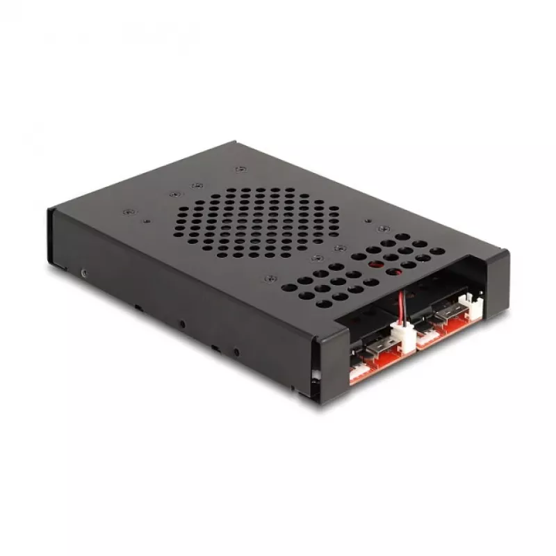 SSD korpus DeLOCK 47117 3.5-tolline mobiilraam kahele M.2 NVMe SSD-le