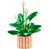 LEGO BOTANICALS 11504 Rahuliilia