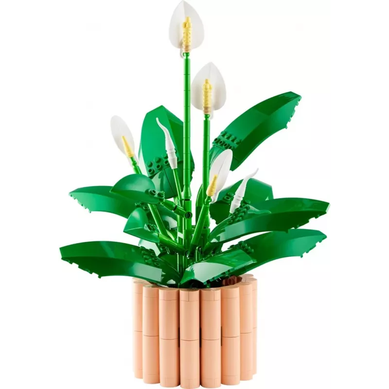 LEGO BOTANICALS 11504 Rahuliilia
