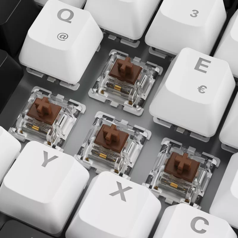 SKILLER SGK50 S3, Gaming-klaviatuur Valge, DE-paigutus, Gateron Brown
