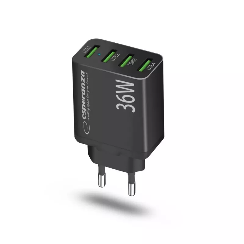 Esperanza EZC107K vooluvõrgu laadija 36W Must