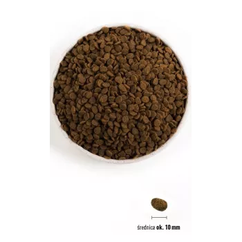 ORIJEN Guardian 8 - kuiv kassitoit - 1,8 kg