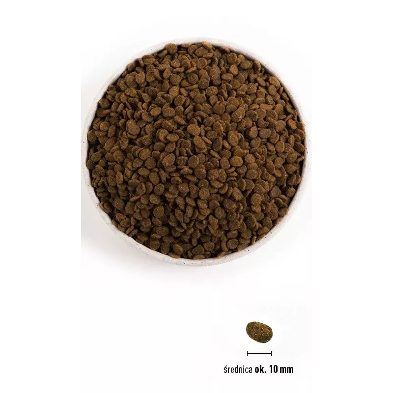 ORIJEN Guardian 8 - kuiv kassitoit - 1,8 kg