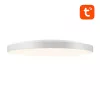 Nutikas laelamp Gosund LB13, 30 cm läbimõõt, Bluetooth-juhtimine, 1600 lm