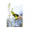 Ryobi oksakäärid