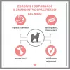 PUPIL Premium All Meat Gold Lambakints – märg koeratoit – 800 g