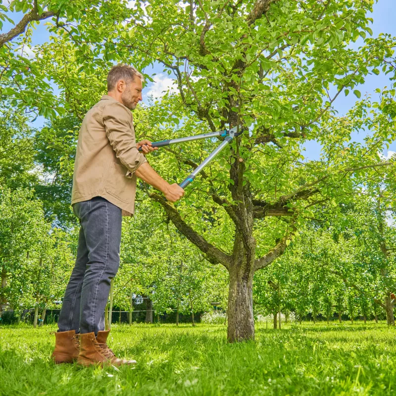 Gardena oksakäärid EasyCut L hall/türkiissinine 50 cm (12031-88)