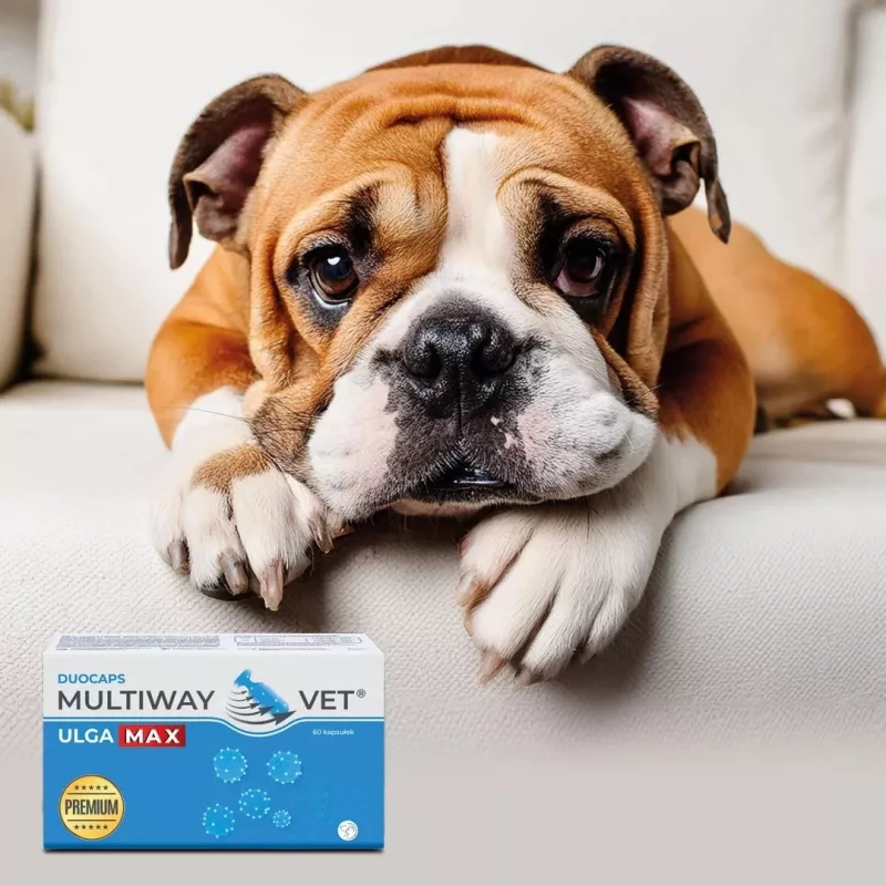 Keeratavad kapslid JM Sante Multiway Vet Duocaps Ulga Max – 60 tk, stressi ja ebamugavustunde leevendamiseks täiskasvanud koertel ja kassidel, 150 g
