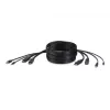 Belkin Secure KVM Combo Cable - Tastatur- / Video- / Maus- / Audio-Kabel - USB, Mini-Stecker, DisplayPort (M) bis Stereo Mini-Klinkenstecker, USB Typ 