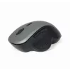 Optiline hiir Gembird MUSW-6B-02-BG USB