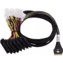 Adaptec kaabel 1x SFF8654 x8 -> SFF8639 8xU.3 sisemine 0.8m SlimSAS - 8SFF-8639 x1 and3 tri-mode SAS/SATA/NVMe