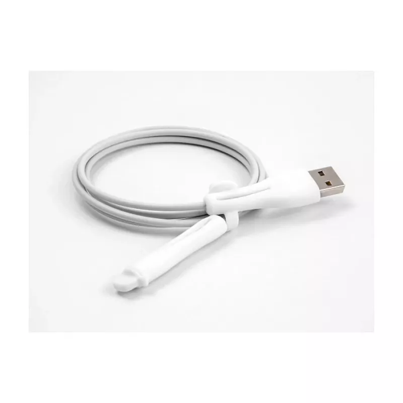 DeLOCK tolmukaitse USB Type-A isasele ja Apple Lightning isasele pistikule komplekt 2 tk valge