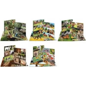 HERMA Sammelmappe A3 Waldtiere rõngaskaust Mitmevärviline
